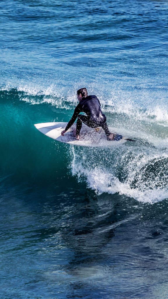 Apartments in Santa Monica, CA San Vicente Tower Home